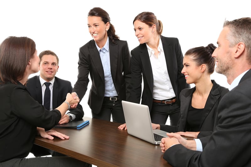 Negotiation Techniques